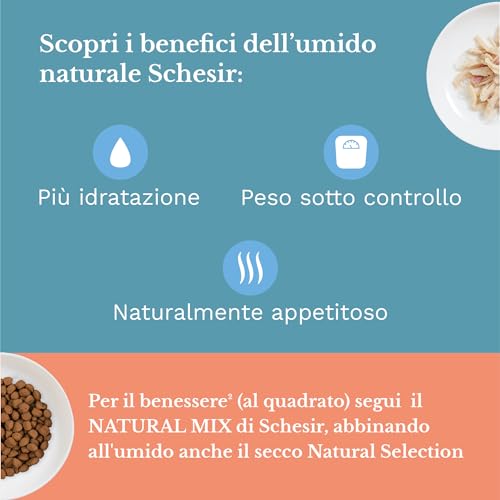 Schesir, Nassfutter für Erwachsene Katzen, Thunfisch mit weißem Fisch, Filets und 100% natürliches Gelee, 6 Dosen x 85 g