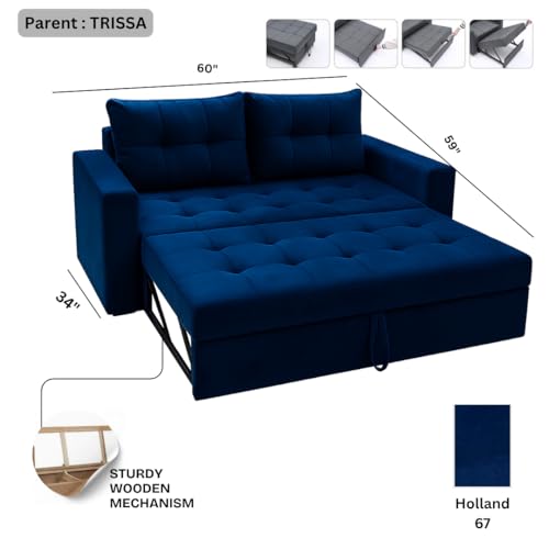 Image of Furny Treven 2 Seater Fabric Pull-Out Sofa Cum Bed (Blue) | Soft Velvet Fabric | Modern Design | Comfortable Seating | Living Room Furniture