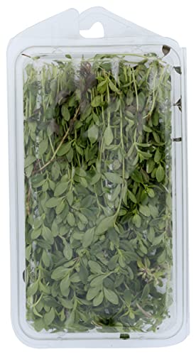 Herb Thyme Organic, 0.75 Ounce #TOP1