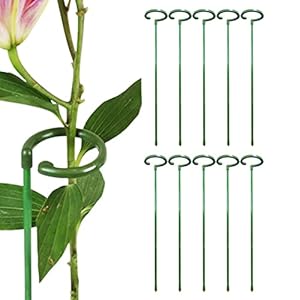 W/B 10 stuks individuele steel-bloemensteunen | 30 cm/45 cm/60 cm plantensteunpalen voor hoge planten, glasvezel…