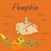 Organic Pumpkin Powder,10.58 oz, 100% Pure Sweet Pumpkin for Lattes, Baking & Smoothies | Vegan, Gluten-Free, Kosher | Easy Puree & Juice Mix-In
