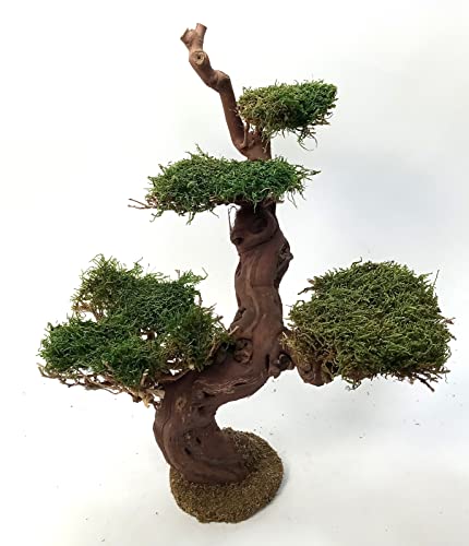 Baum für Krippenstall aus Naturmaterial. Einzelstück. Krippenbotanik...