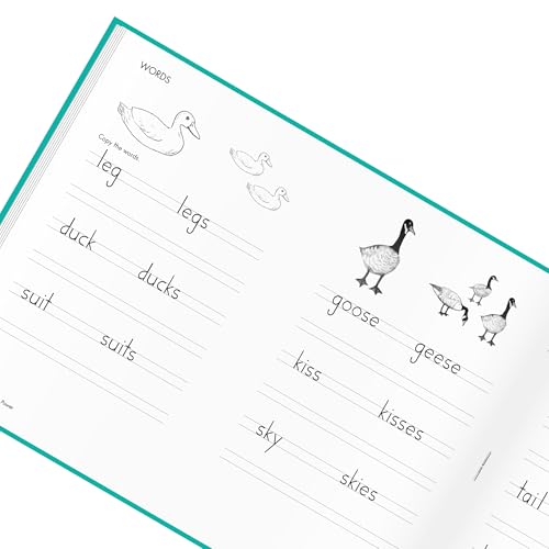 image for Learning Without Tears Age 7+, 2nd Grade+, Handwriting Practice, Writi