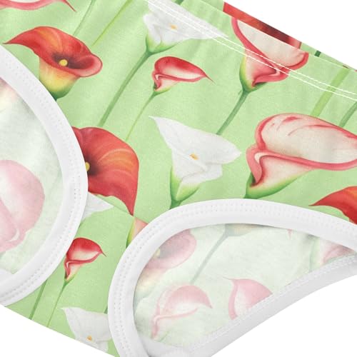 Funny Girls Underwear Toddlers 2t Cotton Cute Panties Girl Red White Calla Lilies Light Green Briefs Underpants4