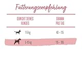 Beneful Kleine Genießer Hundefutter trocken für kleine Rassen, mit Rind, 4er Pack (4 x 2,8kg)