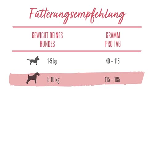 Beneful Kleine Genießer Hundefutter trocken für kleine Rassen, mit Rind, 4er Pack (4 x 2,8kg)