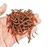 1.6in/3.3in Fishing Soft Lure Trout Worm Earthworm Bait Lifelike Fake Bloodworm Grub Worm Soft Fishing Lure Baits (Brown (50pcs/Pack), 3.3inch)
