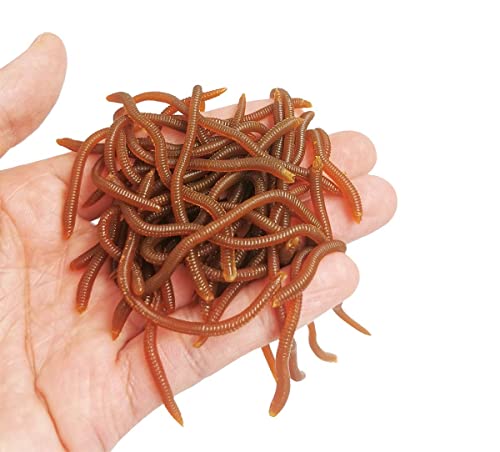 1.6in/3.3/3.9in Fishing Soft Lure Trout Worm Earthworm Bait Lifelike Fake Bloodworm Grub Worm Soft Fishing Lure Baits - Image 4