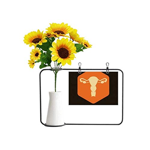 Uterus Tournesol Fleur Durable et Bouteille pour Briser les Tabous