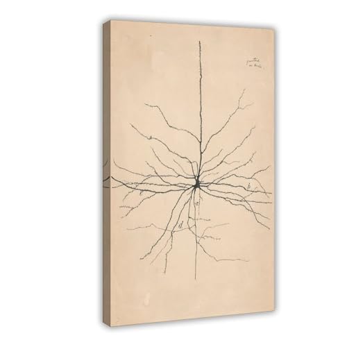 Tableau neurone de Cajal idéal pour décoration murale salon et bureau