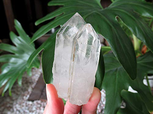 初期モンドクォーツ トリプルタイムリンク Amazon.co.jp: モンドクォーツ タンザニア産水晶原石の通販/販売 |【鬮