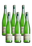 Txakoli Gaintza, vendimia 2021. ¡Nueva Añada! Denominación de origen Getariako Txakolina - Txakolí de Getaria, vino blanco, caja de 6 botellas