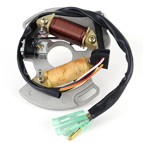 Bobine de stator d'allumage YFS200 pour un démarrage fiable de quad