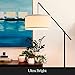 Brightech Hudson 2 - LED Floor lamp, Tall Lamp with Sturdy Base, Contemporary Arc Lamp for Living Rooms & Offices, Great Living Room Décor, Mid Century Modern Lamp for Bedroom - Jet Black