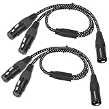 Lrbners 2FT XLR Y Cable 2-Pack