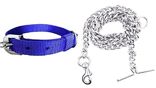 Image of Dog Belt Combo of Nylon Collar with Heavy Dog Chain 63 Inch Dog Collar Chain (Medium, Blue)