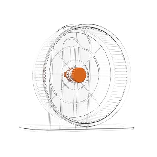 Ｂｅｓｇａ Roda de exercício para hamster, roda de corrida, atividade esportiva silenciosa, corredor inte