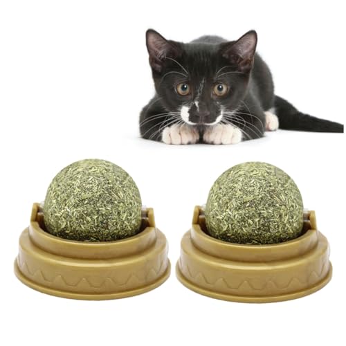 Bolas de menta para gatos GARVALON 4 piezas de pelotas giratorias interactivas 2