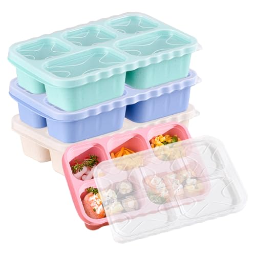 Greyoe 4 Piezas Tupper Compartimentos, Meal Prep Containers, Fiambrera con 5 Compartimentos, Caja Bento Cuadrada, Hermética y Portátil para Fruta, Merienda y Viajes