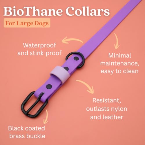 Collier chien imperméable lavande L résistant odeur pour balade - 3