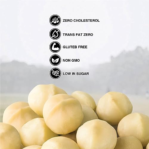 Image of Pureheart Salted Macadamia (650 gm, Pack of 2) Premium Roasted Australian Macadamia Nuts, Rich in Antioxidants - Whole, Exotic, and Crunchy Dry Fruits, Ideal Snacks, No Additives - Reusable Jar
