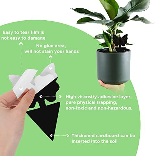 50 Pack Sticky Traps Fruit Fly Fungus Gnat Trap Killer, Joogee Black Dual Sided Gnat Trap, Disposable Insect Catcher Sticky Board,Non-Toxic and Odorless,for Mosquitoes, Houseplant, Garden - 3