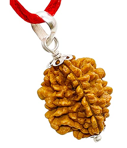 Image of Siddha 2 /Two Mukhi Rudraksha, Laboratory Certified, Capped with Silver Between Indian Beads with Handmade Tassel, Size 22mm-28mm, Color-Brown (2 Mukhi Silver Rudraksha)