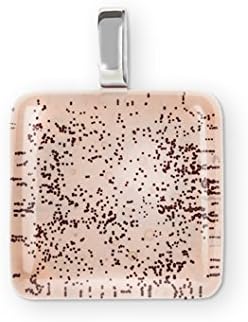 Smart digital NFC beige pendant, wearable, fashion and technology