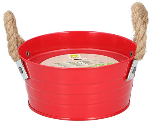 ArtiCasa Vela perfumada (14,7 x 6,3 cm), cor vermelha e limão