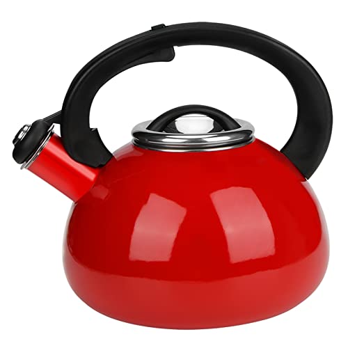 The 10 Best Stainless Steel Kettle Top Picks For You