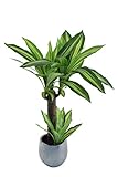 Ahorra en mantenimiento (no necesita agua, abono, podas…) y podrás decorar espacios en los que no es beneficioso colocar plantas naturales, como dormitorios, baños y cocinas.