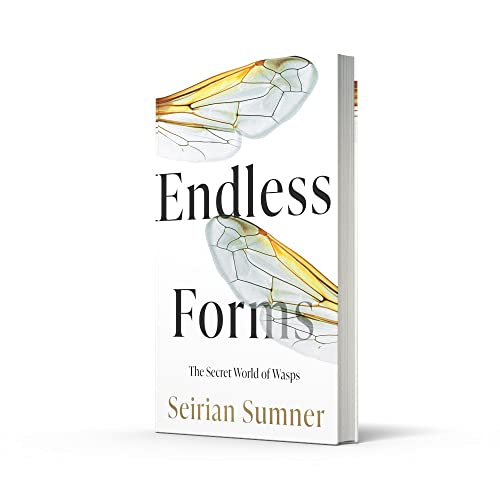 Endless Forms: The Secret World of Wasps