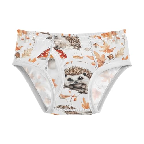 Cute Hedgehog Mushroom Toddler Boy's Underwear 2T 202b9036