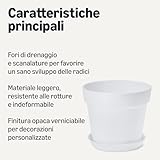 Amazon Basics B0F4QB8C8M lato 2