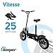 BEEPER Patinete eléctrico Cross/Plegable/con Asiento/potente/1000 W 36 V FX1000, Unisex Adulto, Negro,...