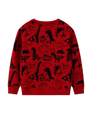 Boys Sweatshirts Casual Sweatshirts Cotton Sweatshirts Long Sleeve T-shirts Crew Neck Cartoon Tops for Boys-7432