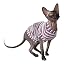 Mauve Stripes