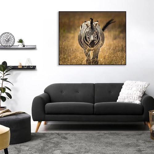 Impression sur Toile Zèbre Premium Finition Cadre Noir - 2