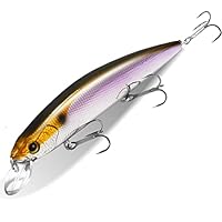 ミノー各種(14個) Amazon | フローティングミノー 14 センチメートル 24 グラム