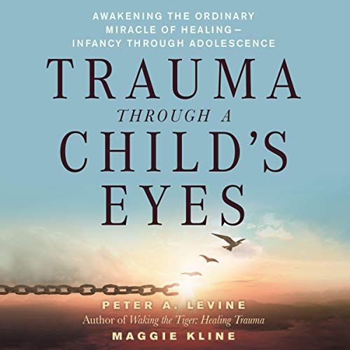 Cover art for Trauma Through a Child's Eyes