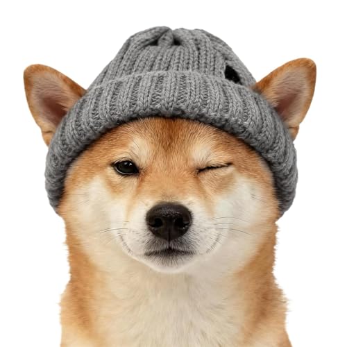 Hunde Beanie Mütze,Mit Ohrlöchern Weiche Strick-Kopfbedeckung - Winterhut für Katzen und Kätzchen,Für Welpen Kätzchen Kleine Rassen Kostümparty Geburtstag Fotoshooting Camping Zuhause Reisen Spazieren