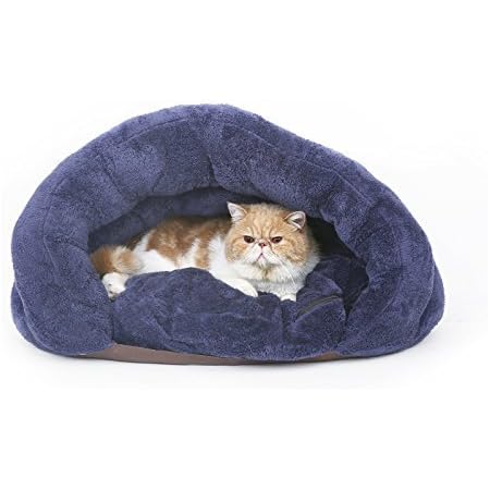 dog pouch bed