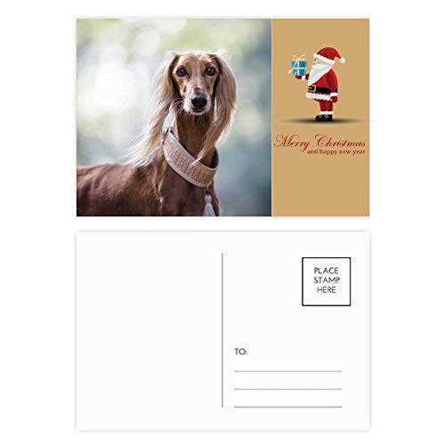 Cartes postales chien cou long correspondance animaux lot de 20