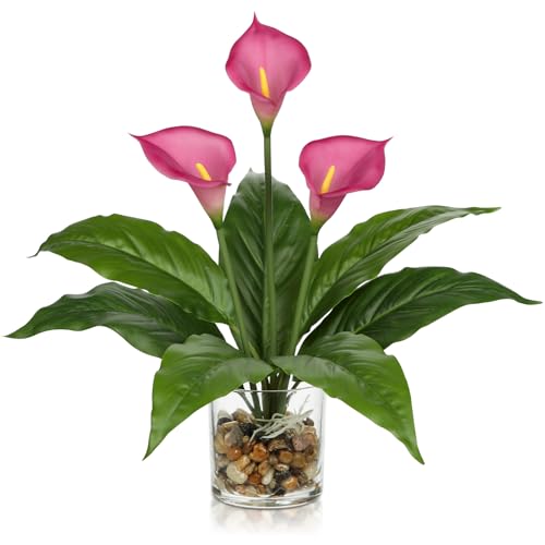 Briful 15.4 Fuchsia Calla Lily Artificial Flowers in Glass Vase with Pebbles, 39cm Tall Artificial Lilies Real Touch Flowers - Decorative Artificial Plants for Living Room, Bathroom Decor