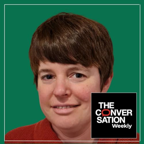 Using Academic Research to Make Sense of the News Cycle