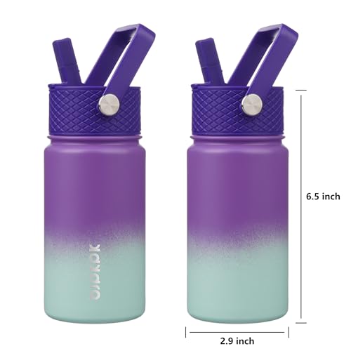 Image of BJPKPK Insulated Water Bottle, 15oz Stainless Steel with Straw Lid