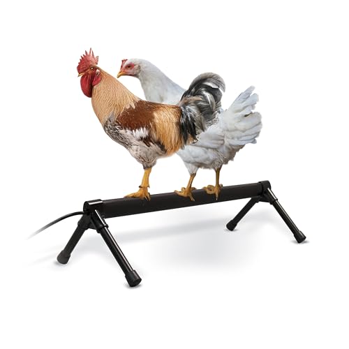 K&H Pet Products Thermo Heated Chicken Perch for Coop, Warming Chicken Heater, Prevents Frozen Toes, Warm Coop Accessories, Lamp Alternative, Safety Listed - Large 36” Black