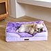 BELLA & PAL Orthopädisches Hundebett, 71x59 cm Ergonomisches Hundesofa für kleine/mittlere Hunde-Ohne Montage, Eierschaum | wasserdichter Einlage | Flanell Abnehmbarer Bezug | Rutschfester Boden, Lila