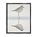 Stupell Industries Soothing Sandpiper Bird Standing Ocean Shoreline Reflection Floating Framed Wall Art, Design By Ziwei Li