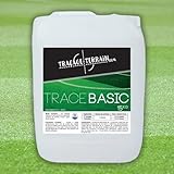 TRAÇAGE TERRAIN